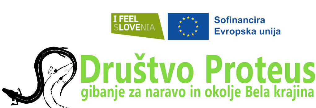 Društvo Proteus